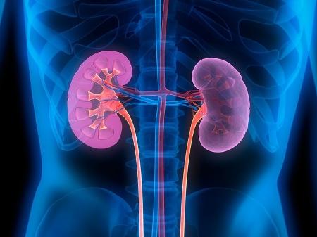 Brasil é o terceiro maior transplantador de rins do mundo